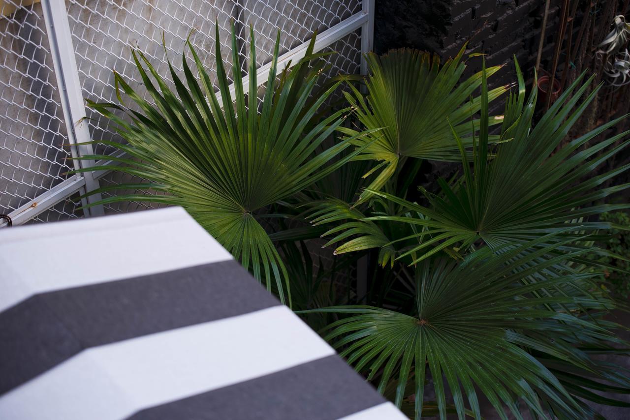 被愛咖啡小旅館 Birdeye Garden Tainan Exterior photo